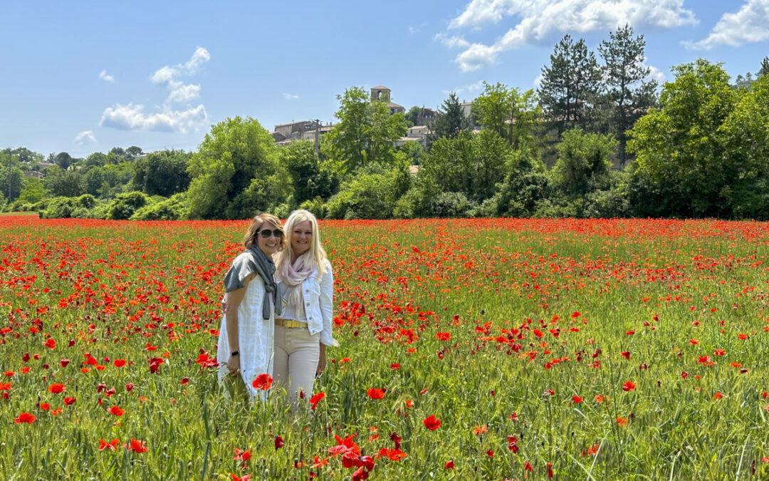 Culinary, & Cultural Experiences – When to Visit Provence?